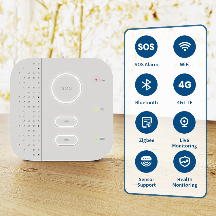 Smart Elderly Home Security Mo - огляд і ціна Home Security For Seniors